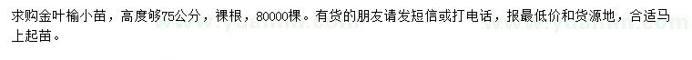 求購高度夠75公分金葉榆小苗