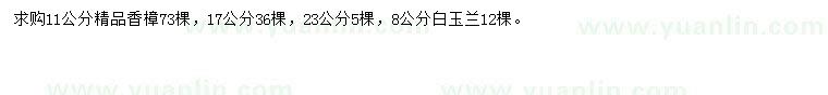 求購(gòu)11、17、23公分香樟、8公分白玉蘭
