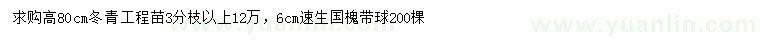 求購(gòu)高80公分冬青、6公分速生國(guó)槐