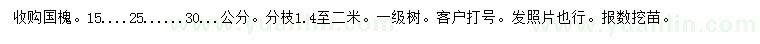 求購(gòu)15、25、30公分國(guó)槐