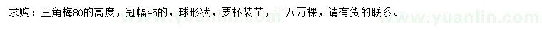 求購冠幅45公分三角梅