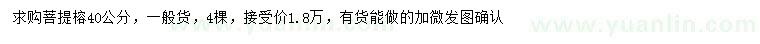 求購(gòu)40公分菩提榕