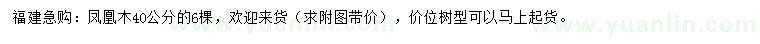 求購40公分鳳凰木