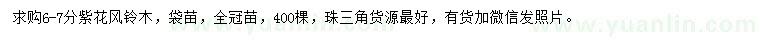求購6-7公分紫花風(fēng)鈴木