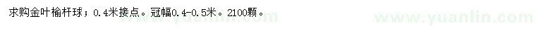 求購冠幅0.4-0.5米金葉榆