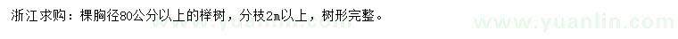 求購胸徑80公分以上櫸樹(shù)