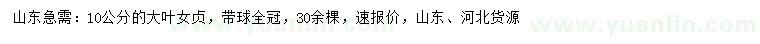 求購(gòu)10公分大葉女貞