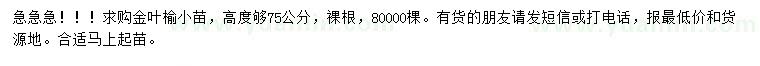 求購高75公分金葉榆
