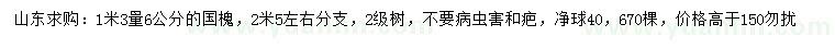 求購1.3米量6公分國槐