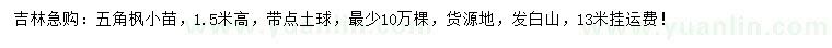 求購高1.5米五角楓