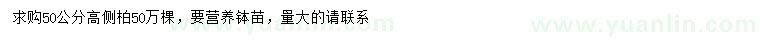 求購高50公分側(cè)柏