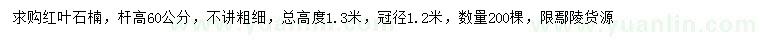 求購(gòu)高60公分紅葉石楠