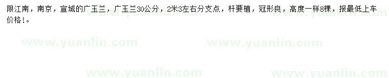 求購30公分廣玉蘭