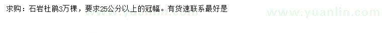 求購冠幅25公分以上石巖杜鵑