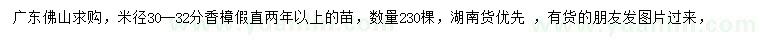 求購米徑30-32公分香樟