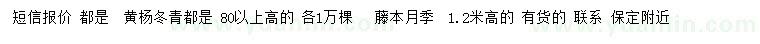 求購(gòu)冬青、黃楊、藤本月季