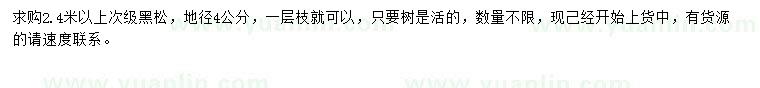 求購地徑4公分黑松