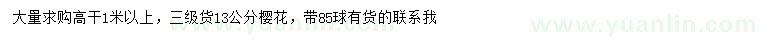 求購13公分櫻花