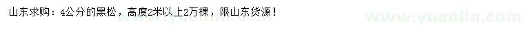求購(gòu)4公分黑松