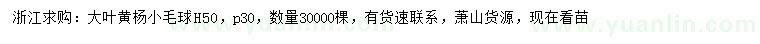 求購冠幅30公分大葉黃楊毛球