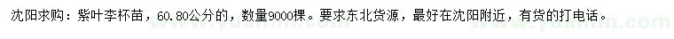 求購60、80公分紫葉李