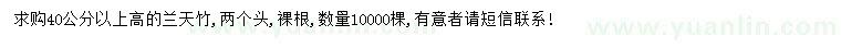 求購高40公分以上南天竹