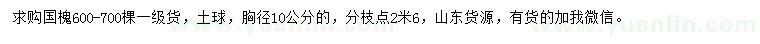 求購胸徑10公分國槐