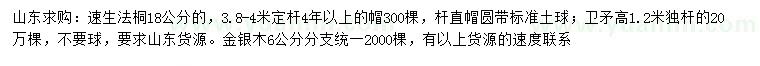 求購法桐、衛(wèi)矛、金銀木