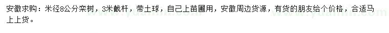 求購米徑8公分欒樹
