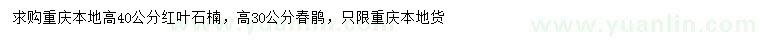 求購(gòu)高40公分紅葉石楠、30公分春鵑