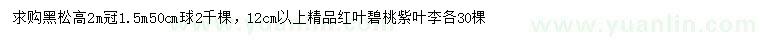 求購黑松、紅葉碧桃、紫葉李