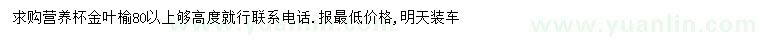 求購高80公分以上金葉榆