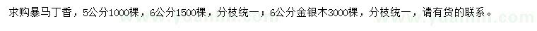 求購5、6公分暴馬丁香、6公分金銀木