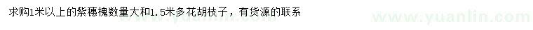 求購(gòu)1米以上紫穗槐、1.5米多花胡枝子