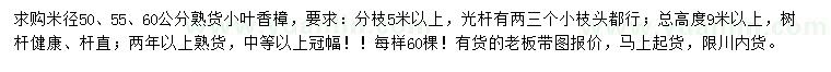 求購米徑50、55、60公分小葉香樟