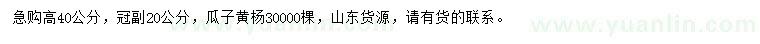 求購高40公分瓜子黃楊
