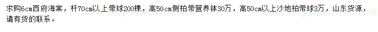 求購西府海棠、側(cè)柏、沙地柏