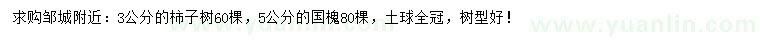 求購(gòu)3公分柿子樹、5公分國(guó)槐