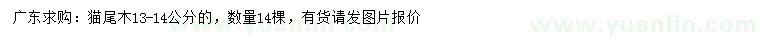 求購(gòu)13-14公分貓尾木