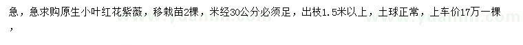 求購米徑30公分小葉紅花紫薇