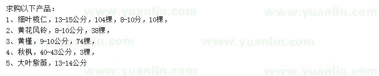 求購細(xì)葉欖仁、黃花風(fēng)鈴、黃槿等