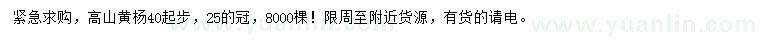 求購40公分以上高山黃楊