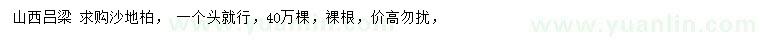 求購沙地柏