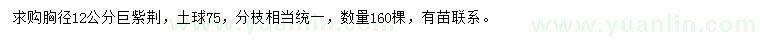 求購胸徑12公分巨紫荊