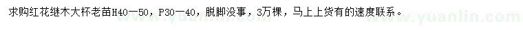 求購(gòu)冠幅30-40公分紅花繼木