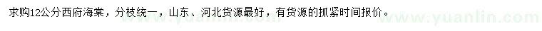 求購12公分西府海棠