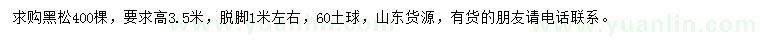 求購(gòu)高3.5米黑松