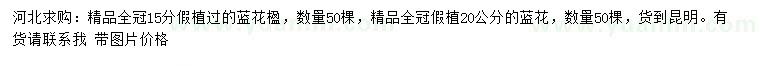 求購15、20公分藍花楹