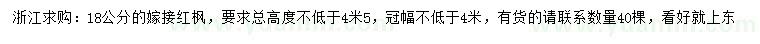 求購18公分紅楓