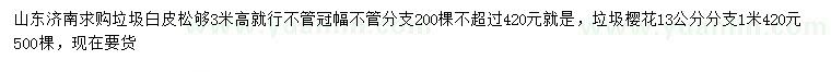 求購高3米白皮松、13公分櫻花